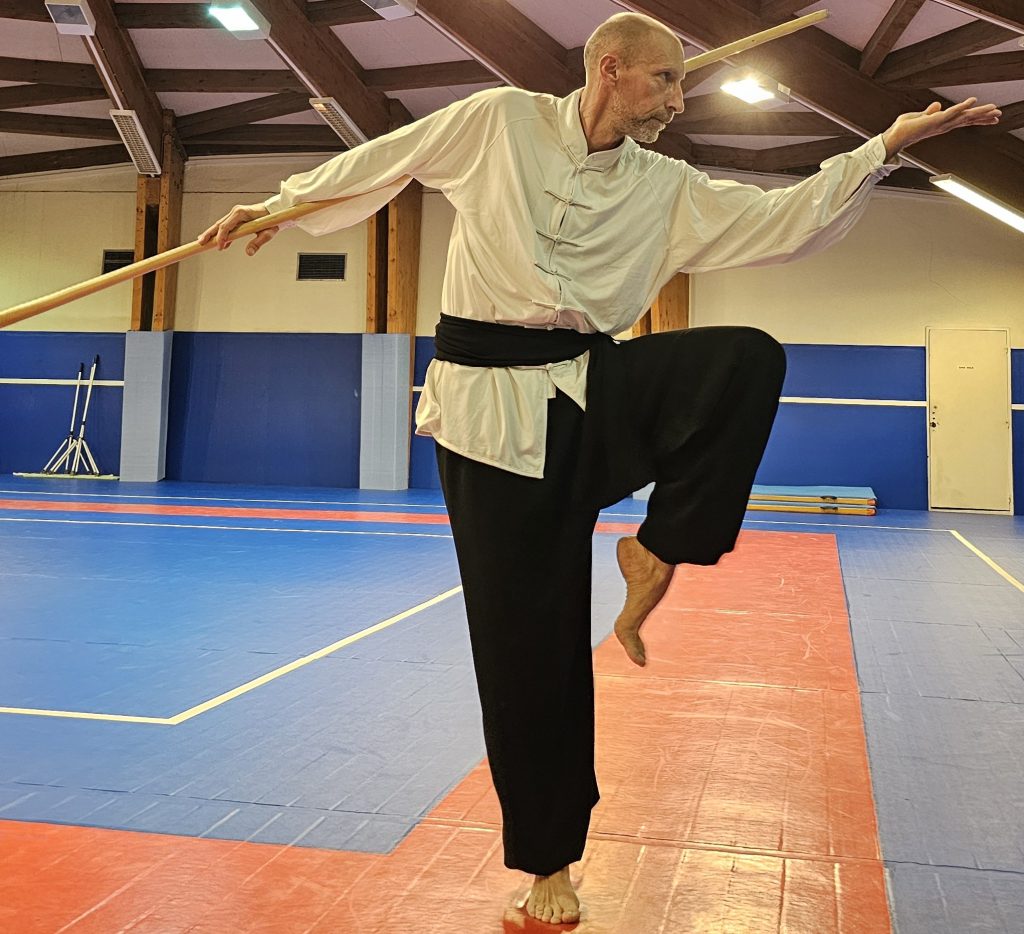 Arnaud Picou - Professeur de Kung-Fu Taiji Tanglang